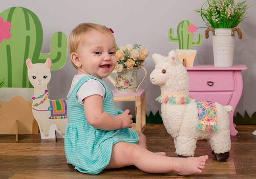 Smash The Cake de Smash The Cake Liz