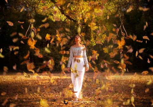 15 anos de Milena Oliveira 