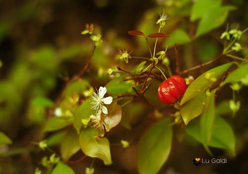 Por Lu Galdi de Por Lu Galdi