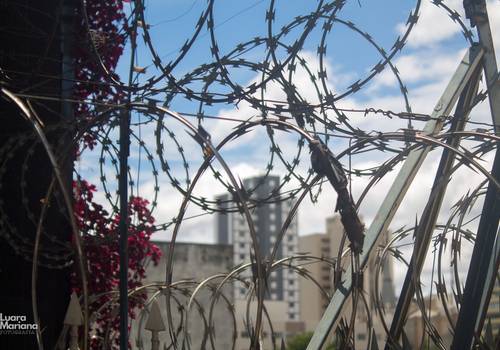 Passeios fotográficos de Minhocão