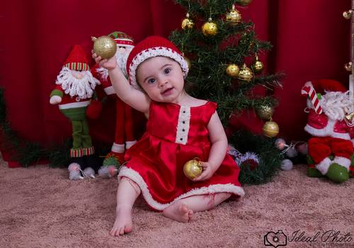 Acompanhamentos de Isabela 