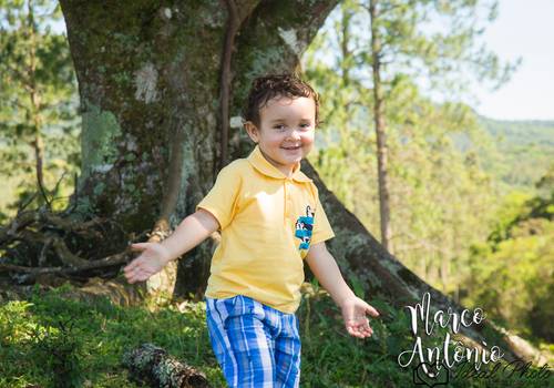 Famílias de Marco Antônio 