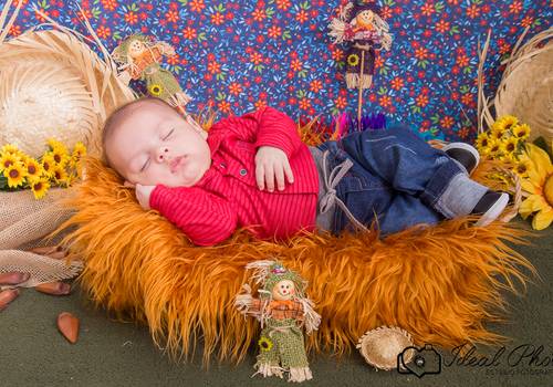 Acompanhamentos de Bernardo 