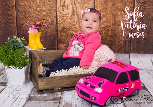 Acompanhamentos de Sofia Vitória 6 mese