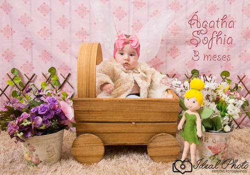 Acompanhamentos de Agatha Sofhia 3 meses 