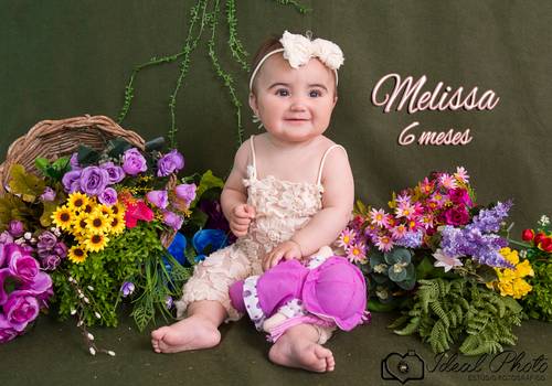 Acompanhamentos de Melissa 6 meses 