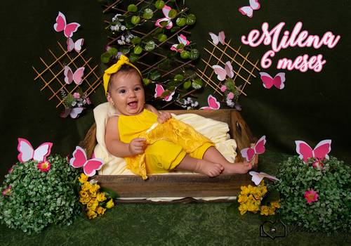 Acompanhamentos de Milena 6 meses
