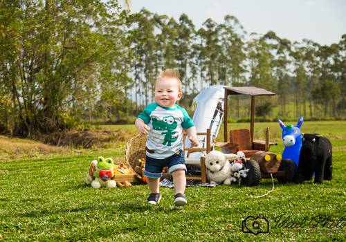 Acompanhamentos de Kauê 12 meses