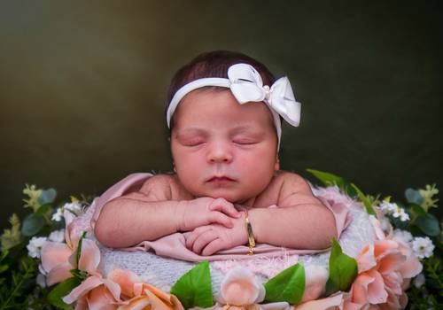 Acompanhamentos de Álbum Cecilia acompanhamento mensal