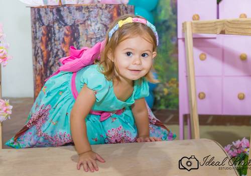 Aniversários  de MAITÊ 2 ANOS