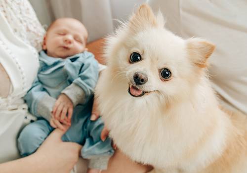 Newborn Lifestyle de Newborn Lifestyle Pedro - 14 dias