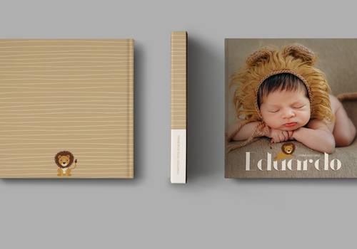 Por que fazer àlbuns?