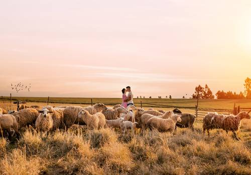 Casal de Pré Wedding  Ana Maysa e Matteus