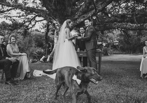 Casamentos de Paola e Bruno