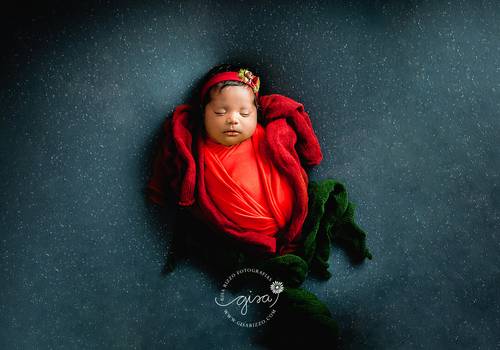 Newborn de Mirela | 21 Dias