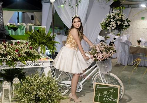 15 Anos  de Yasmin