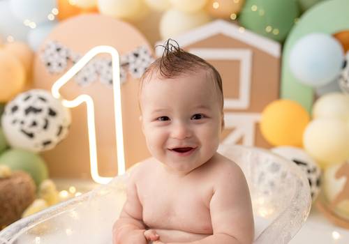 Smash the Cake de Smash the José Pedro - Fazendinha