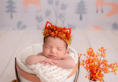 Newborn de Ensaio Newborn Giovanna 