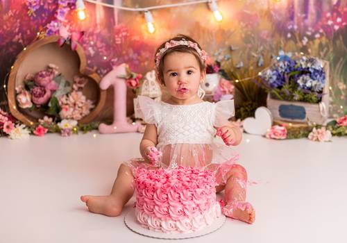 Smash the Cake de Smash the cake Anne 