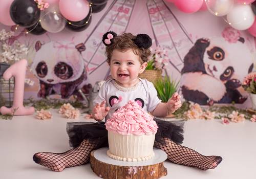 Smash the Cake de Smash the Cake - Panda para Manu