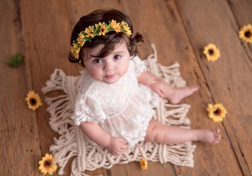 Acompanhamento do Bebê de Alice 8 meses 