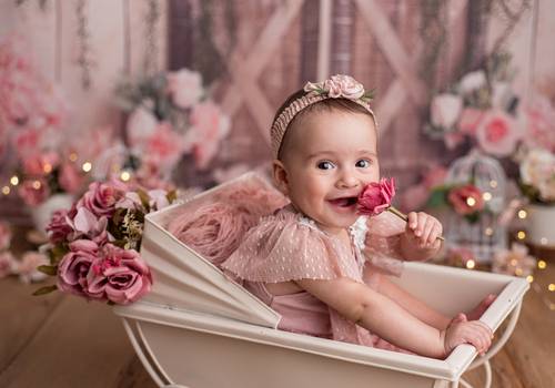 Acompanhamento do Bebê de Maria Catarina 6 meses