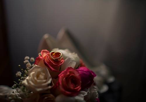 Casamento de Carina + João