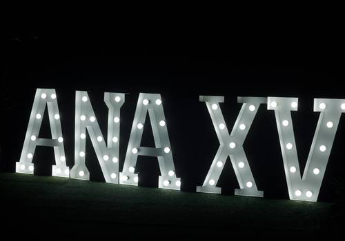 15 Anos de 15 Anos da Ana Luiza