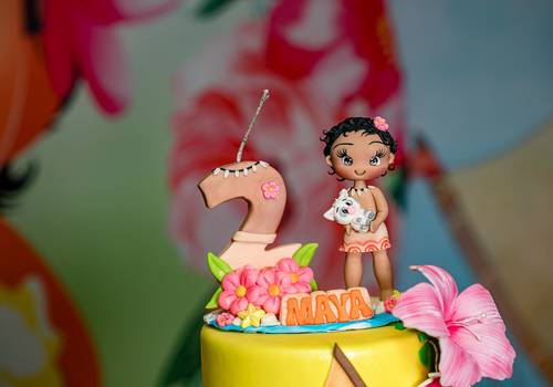 Aniversários de Aniversário 2 Aninhos da Maya