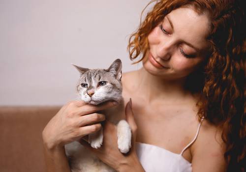 Ensaios de Ensaio família Thassia Reis