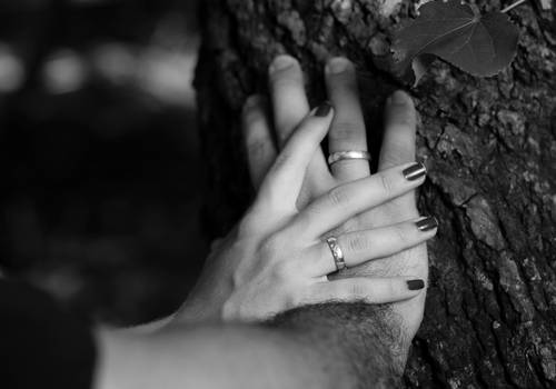 Ensaios de Ensaio Robson e Paula