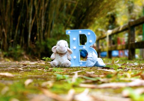 Ensaio Gestante de Ensaio Gestante Dany 