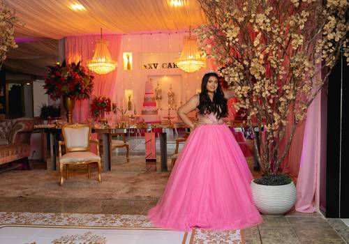 15 Anos de 15 Anos da Ana Carolina