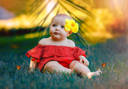 Infantil de Ensaio Família Mabel Siqueira