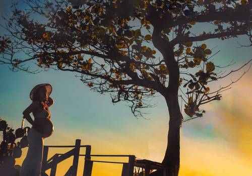 Ensaio Gestante de Ensaio Gestante Sabrina Daudt