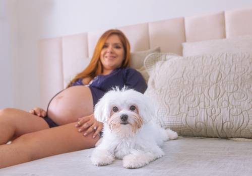 Estúdio Adulto de Ensaio Gestante Magda Amora (34 semanas)