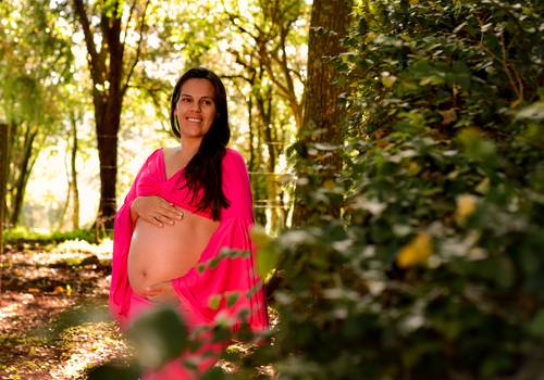 Gestantes de Família Rech na espera da Aninha