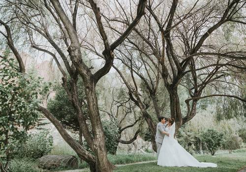 Bodas de Dani y Debi