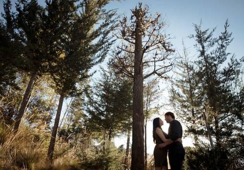 parejas de Favi y Oscar, sol y amor en el bosque