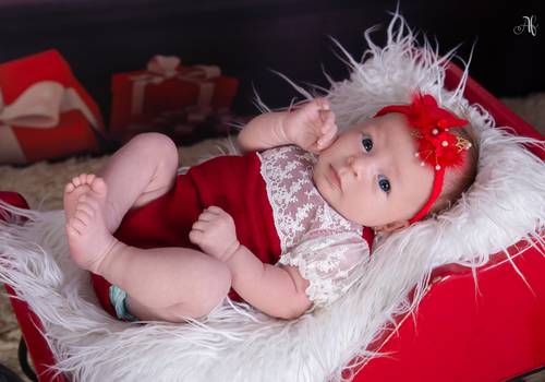 Acompanhamento de Analu, 1 mês