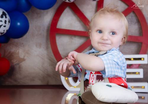 Acompanhamento de Otávio 12 meses