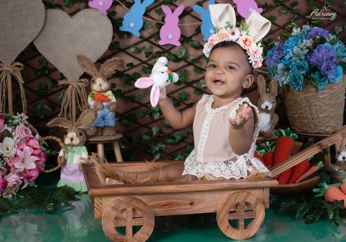 Acompanhamento de Alícia