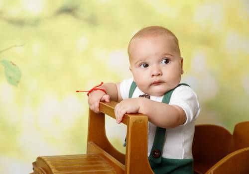 Acompanhamento de Levi - 7 Meses