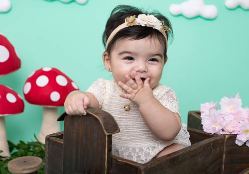 Acompanhamento de Sophia - 6 meses