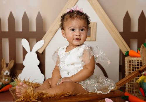 Acompanhamento de Ana Liz - 11 Meses