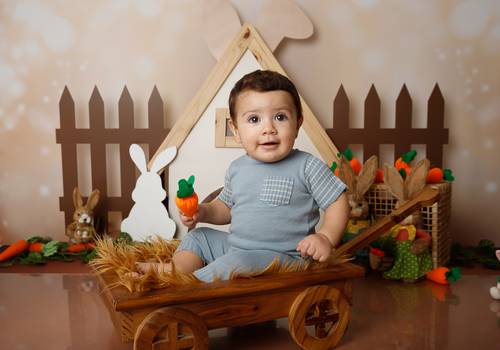 Acompanhamento de João Gabriel - 9 Meses