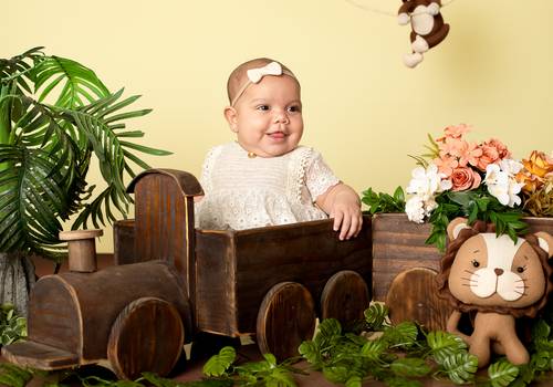 Acompanhamento de Alice - 5 Meses