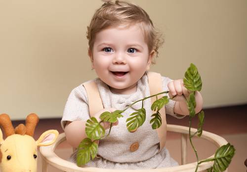 Acompanhamento de Francisco - 8 Meses