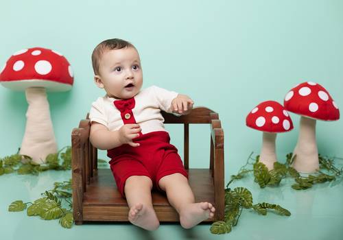 Acompanhamento de Anthony - 7 Meses