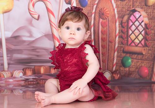 Acompanhamento de Analu - 7 meses